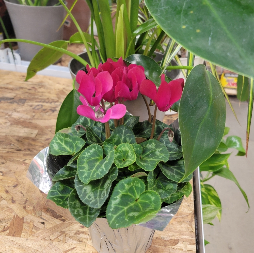 Old piece 14k solid gold ruby pearl bracelet